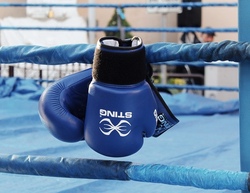 BOX- UND KICKBOX EINSTEIGERKURS (INTENSIVKURS)