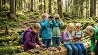 Waldabenteuer mit der Rangerin