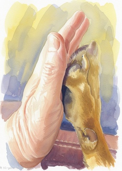 Mitanand&ldquo; die Hundebesuchstruppe 