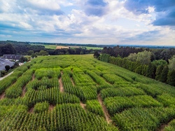 Abenteuer im Maislabyrinth Burgstemmen