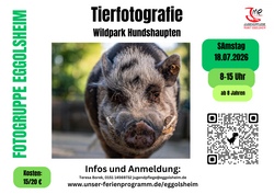 Tierfotografieworkshop
