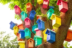 Wir basteln bunte Vogelh&auml;user
