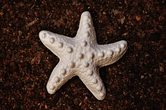 Kleine Dekosachen aus Gie&szlig;pulver herstellen (Nachmittagstermin)