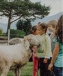 Entdeckertour auf dem Erlebnisbauernhof - 1. Termin