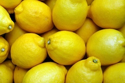 Lemon Love - S&uuml;&szlig;e K&ouml;stlichkeiten rund um die Zitrone