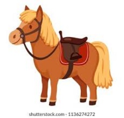 Ponyf&uuml;hrerschein 1