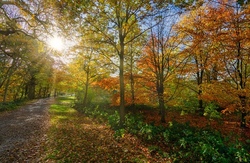 Wald kennenlernen &ndash; Besuch des Aboretums Sommershausen