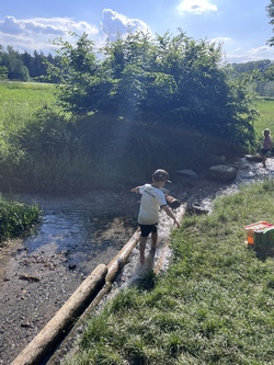 R&auml;tseln, bauen, Wasser erleben - rund um den Krummbach
