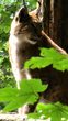 Ausflug in den Wildpark Poing