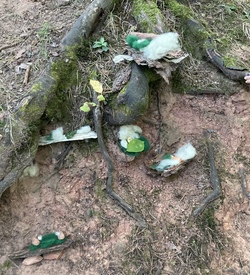 Abenteuerpfad Natur