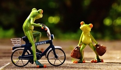 Bike-Workshop am Skaterpark Parsberg&ndash;Lupburg