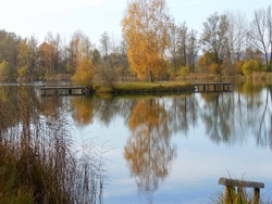 Angeln an der Kupfer in Forchtenberg, Erste Grundlagen der Fischerei