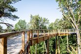 ABGESAGT Waldsafari auf dem Klimawaldpfad und Spaziergang durch den Tiergarten N&uuml;rnberg 