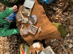 Der Wald und seine Geheimnisse
