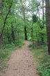 Waldabenteuer &ndash; Auf den Spuren der Waldbewohner