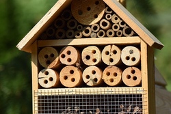 Insektenhotel bauen