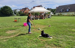 Spiel und Spa&szlig; am Hundeplatz