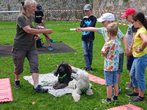 Achtungsvolles Spielen mit zwei Therapiehunden
