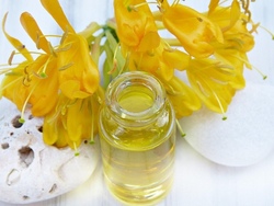 Naturkosmetik selbstgemacht - Ausgebucht !