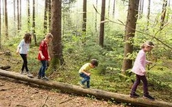 Lebensraum Natur und Wald - Wanderung mit den F&ouml;rstern