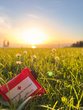 Healfo ka jedar - Erste Hilfe f&uuml;r junge Held:innen