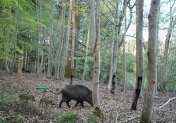 Raus aus dem Alltag und hinein ins Abenteuer! Wild und Natur hautnah erleben.