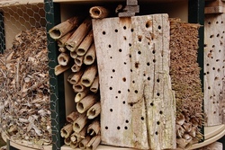 Nisthilfen und Nistk&auml;sten bauen