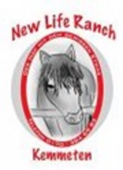 Pony-Pferd-Kuh-Runde auch f&uuml;r die Kleinen 2
