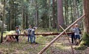 Waldspiele
