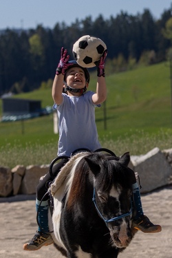 Erlebnisvormittag mit Pferden und Ponys
