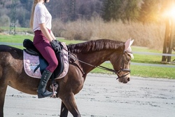 Reitstunde "Equitation" - B