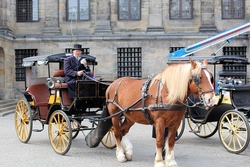 Kutsche fahren "Parcour" - B
