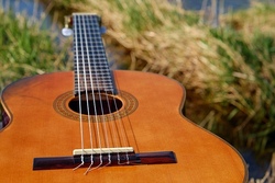 Gitarre mit Frau Meyer- Grundschule, mittwochs