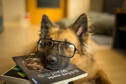 Lesen mit dem Hund - Kinder lesen ohne "Muss" einem aufmerksamen Hund vor und entdecken neue F&auml;higkeiten (B&uuml;cherR&auml;umle)
