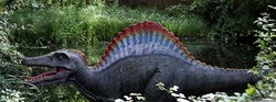 Alles rund um Dinosaurier