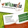 Kreative Waldkids 2