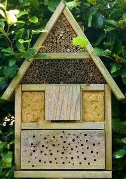 Wir bauen ein Insektenhotel am NACHMITTAG