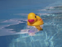Badespa&szlig; im Pool