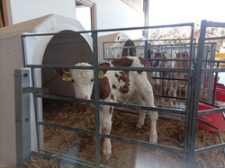 Zusatzkurs: Probier es aus - Abenteuer auf dem Bauernhof