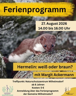 Hermelin: Wei&szlig; oder Braun?
