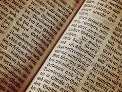Kinderbuch Lesung "Die wilden Kerle"