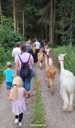 Alpaka Wanderung und basteln mit Makramee-Wolle 3