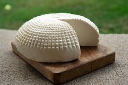 Wir stellen K&auml;se her