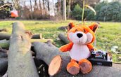 Auf zur Fuchsjagd
