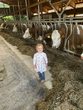 Ferienprogramm auf dem Bauernhof