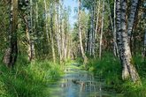 Spannende Moorwanderung