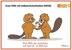 Pflasterf&uuml;hrerschein