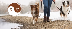 ZUSATZTERMIN  Die Welt der Hunde - Besuch einer Hundeschule 3