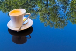 Elterncaf&eacute; im Wald