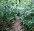Outdoor Erlebnistage f&uuml;r M&auml;dchen 